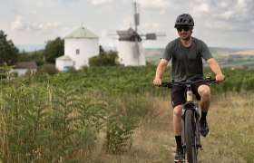 Ein Radfahrer genie&szlig;t die sanften H&uuml;gel des Weinviertels, w&auml;hrend die historische Windm&uuml;hle im Hintergrund majest&auml;tisch thront. Die gr&uuml;ne Landschaft und der strahlend blaue Himmel schaffen eine perfekte Kulisse f&uuml;r unvergessliche Erlebnisse in der Natur.