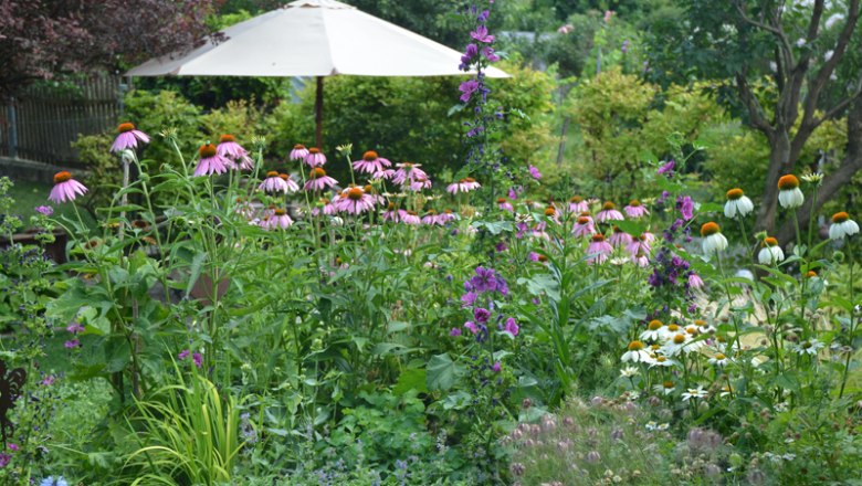 Ein bl&uuml;hender Garten mit bunten Blumen und einem Sonnenschirm im Hintergrund.