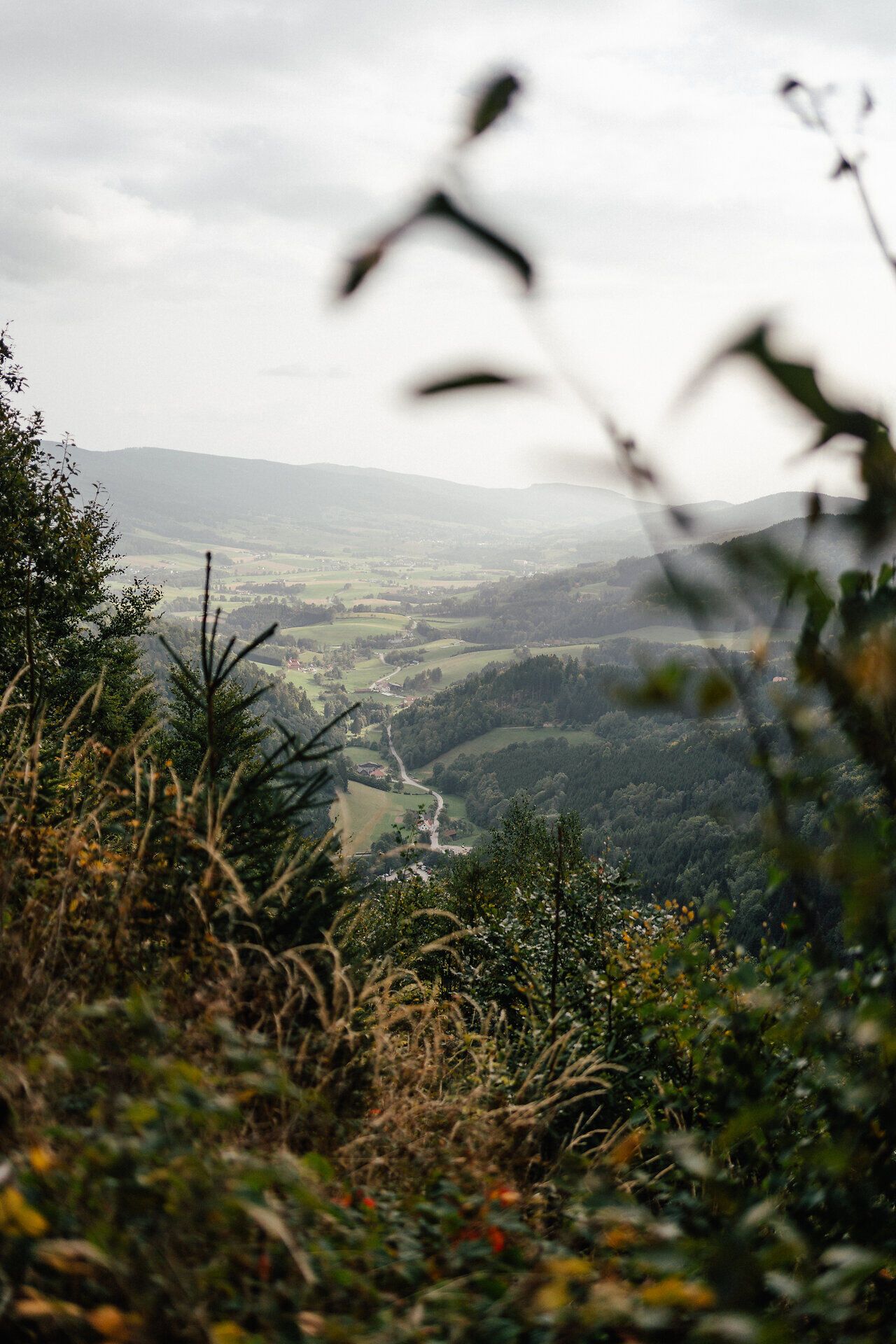 Die sanften Hügel des Yspertals laden zu unvergesslichen Wanderungen ein, während die bunten Blätter der Bäume im sanften Wind rascheln. Hier, wo die Natur in voller Pracht erblüht, können Wanderer die Ruhe und Schönheit der Landschaft genießen und sich von der frischen Luft beleben lassen.