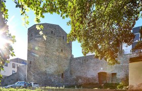 Stadtmauer und Turm in Waidhofen an der Thaya, umgeben von B&auml;umen und Sonnenlicht.