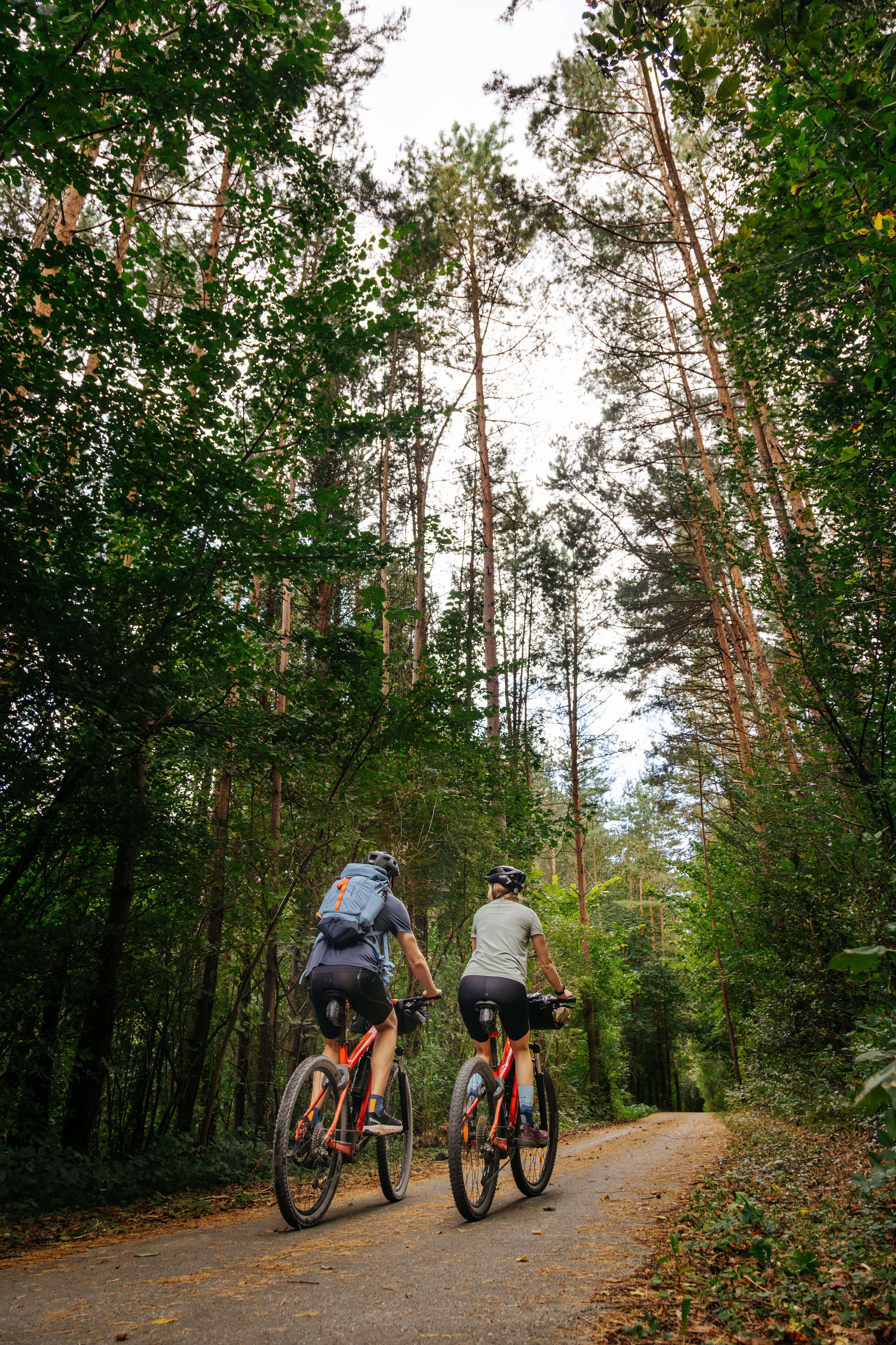 Waldweg