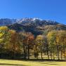 Herbstliche Landschaft mit bunten B&auml;umen und schneebedeckten Bergen im Hintergrund.