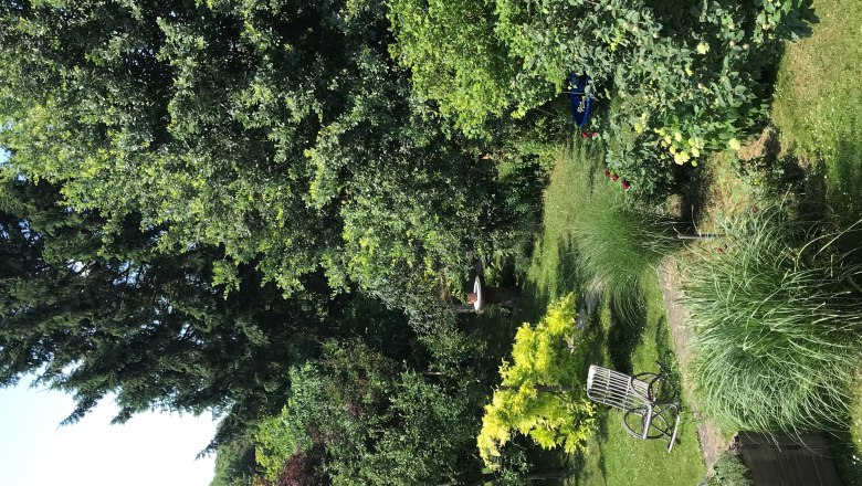 Ein grüner Garten mit Bäumen, Sträuchern, einem Hochbeet und einem Holzstuhl.