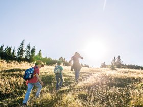 Die sanften H&uuml;gel der Rax laden zu einem unvergesslichen Abenteuer ein. Kinder und Erwachsene genie&szlig;en die frische Bergluft und die strahlende Sonne, w&auml;hrend sie durch die bl&uuml;henden Wiesen wandern. Hier, inmitten der Natur, wird jeder Schritt zu einem Erlebnis voller Freude und Entdeckung.
