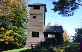 Holzturm im Wald mit blauem Himmel.