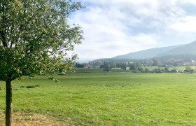 Weide in Oberbergern, &copy; Radler-Rast