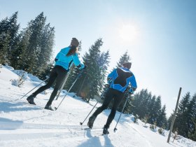 Langlaufen Waldviertel, &copy; Waldviertel Tourismus, ishootpeople.at