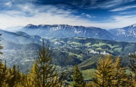 Panoramablick vom Sonnwendstein auf bewaldete Hügel und Berge unter blauem Himmel.