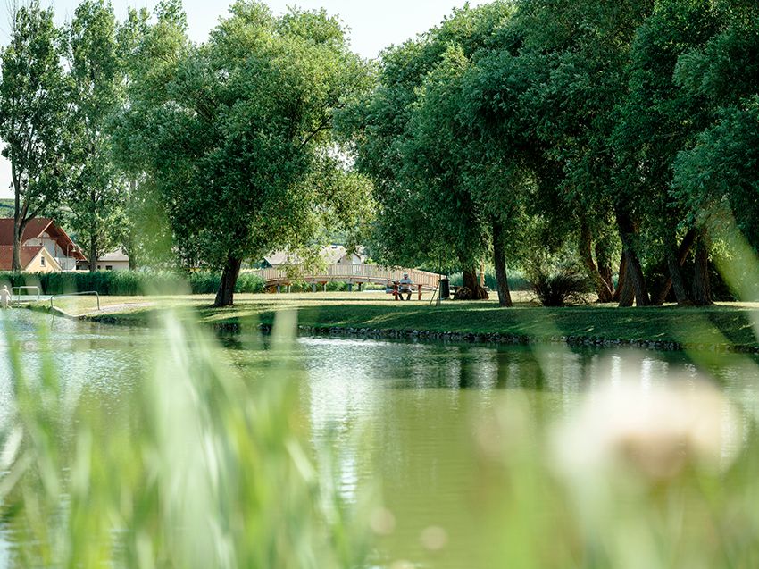 Ein ruhiger Teich mit Bäumen und einer Brücke im Hintergrund.