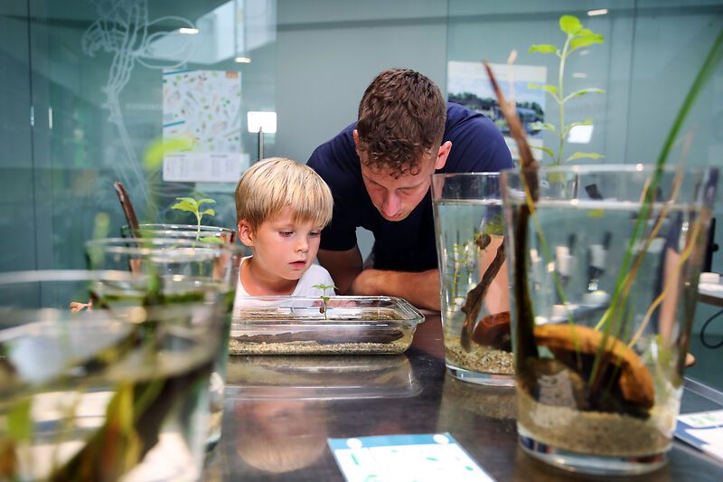 Ein Mann und ein Kind betrachten interessiert ein Aquarium mit Wasserpflanzen und kleinen Tieren.