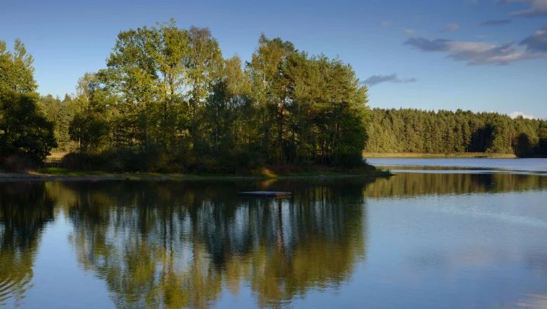 Ein ruhiger Teich mit Bäumen im Hintergrund, die sich im Wasser spiegeln.