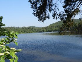 Edlesberger Teich, &copy; Marktgemeinde Martinsberg