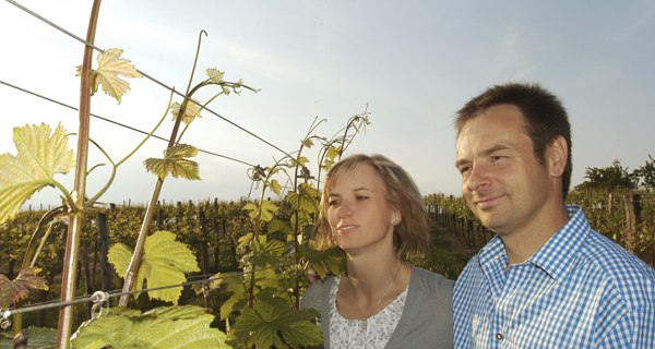 Weingut Lorenz Bauer, &copy; Lorenz Bauer