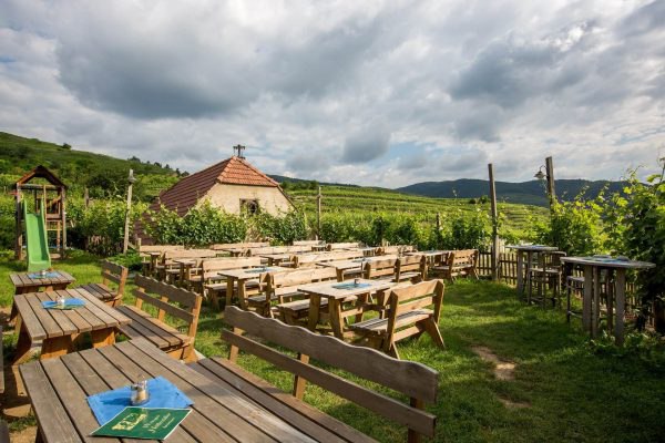 Weingut H&ouml;llm&uuml;ller Garten mit Heurigenbetrieb, &copy; Familie H&ouml;llm&uuml;ller