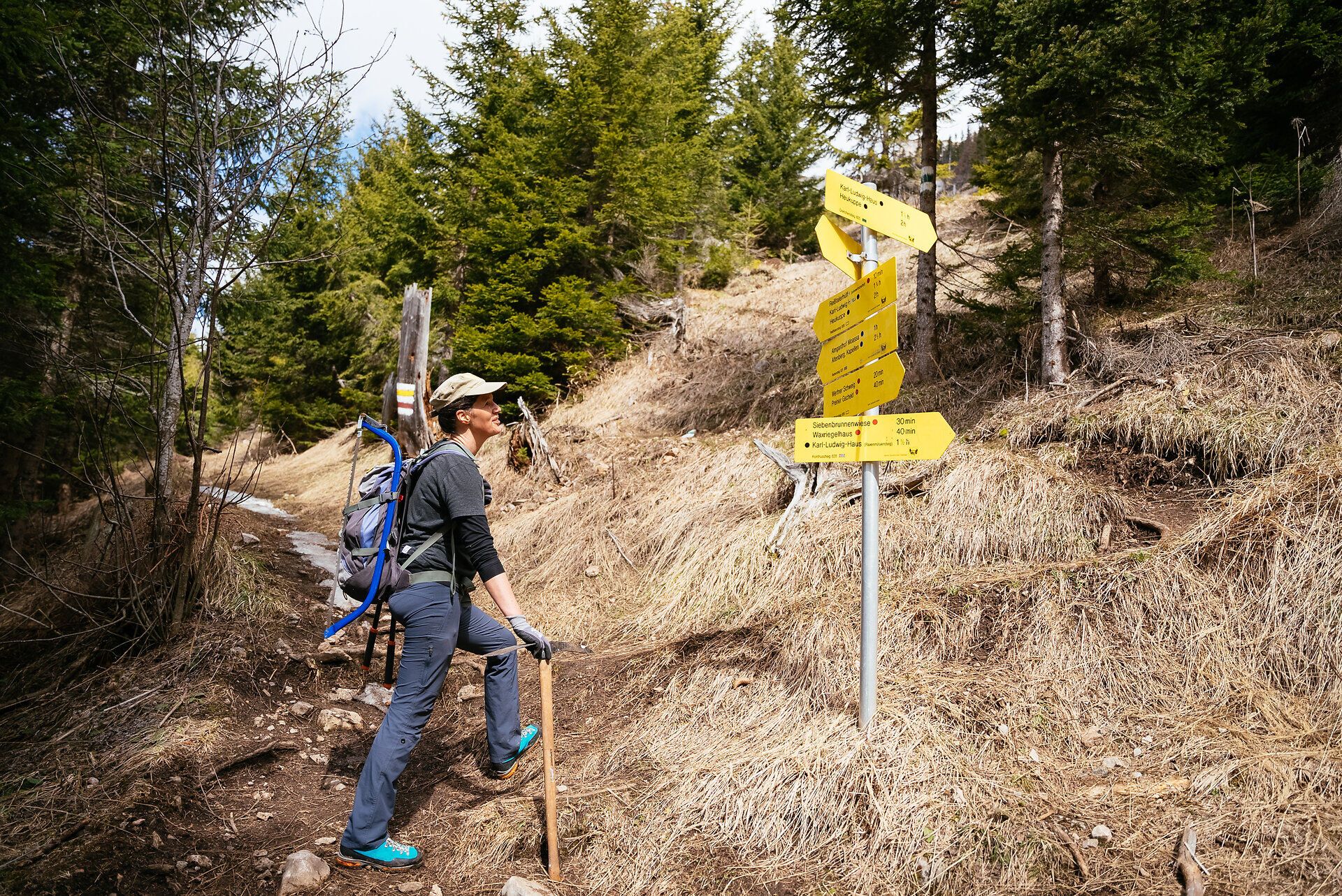 Ein Wanderer steht an einem Wegweiser, umgeben von der majestätischen Natur der Rax. Die frische Bergluft und das sanfte Rascheln der Bäume laden dazu ein, die Schönheit der Umgebung zu erkunden. Hier, wo die Wege sich kreuzen, beginnt das Abenteuer in den Wiener Alpen.