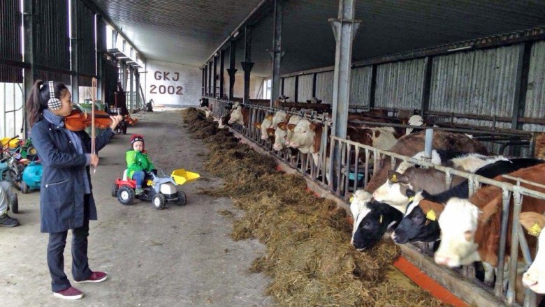 kerndlerhof_stallungen, &copy; Kerndlerhof