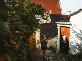 Frauenbergstiege in Krems, &copy; Wachau-Nibelungengau-Kremstal