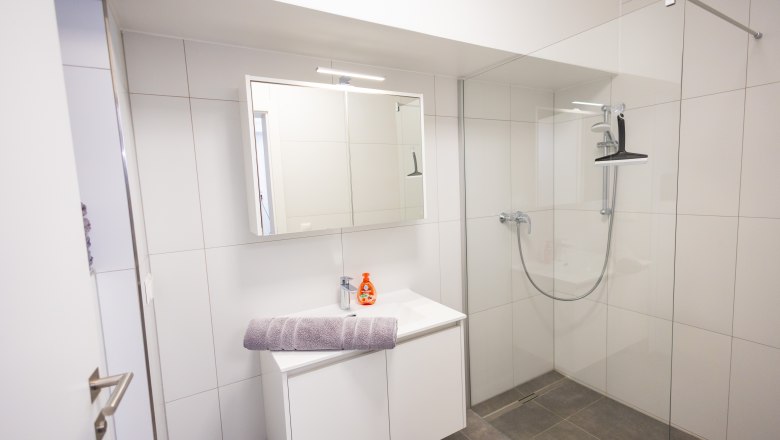 Modernes Badezimmer mit Dusche, Waschbecken und Spiegel.