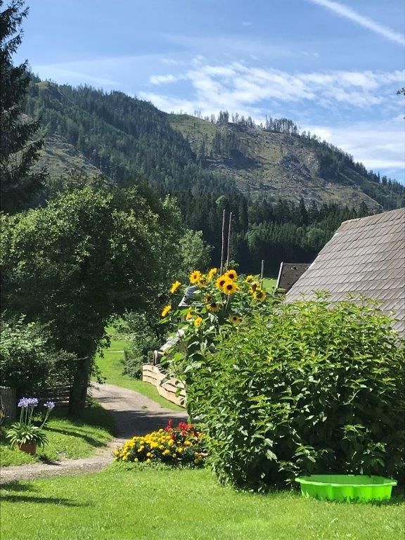 Ausblick Bauernhof