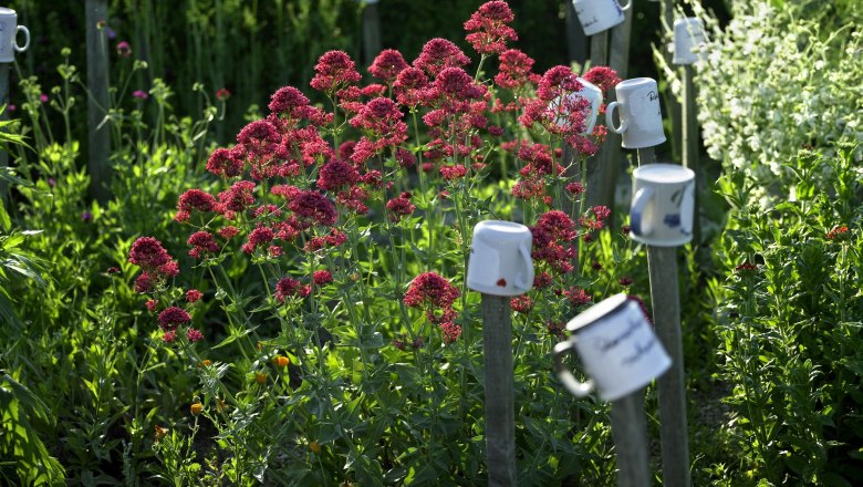 Privatgarten Gertraude Schmidt, &copy; Natur im Garten/Alexander Haiden