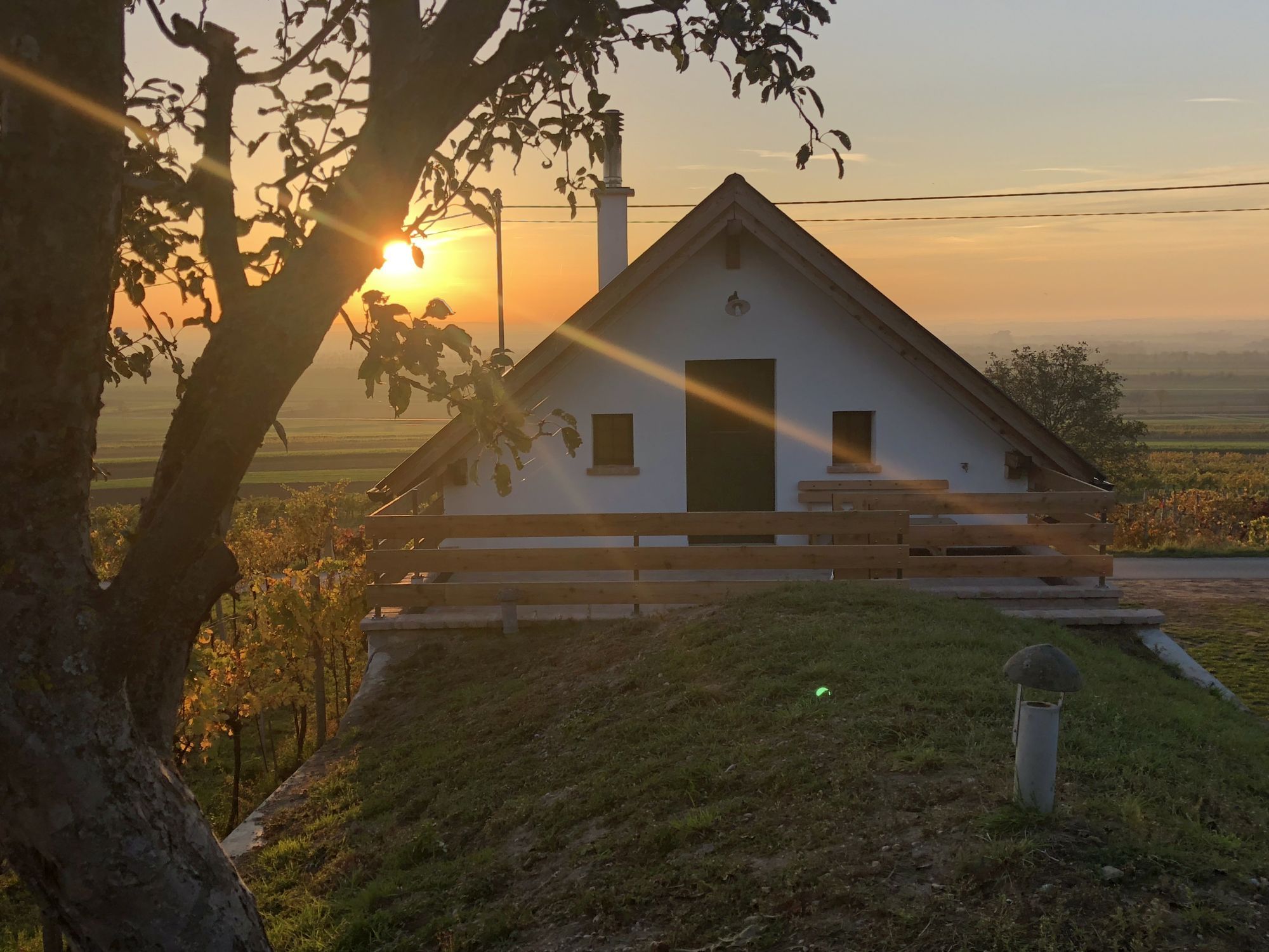 Ein kleines Haus bei Sonnenuntergang mit einem Baum im Vordergrund.
