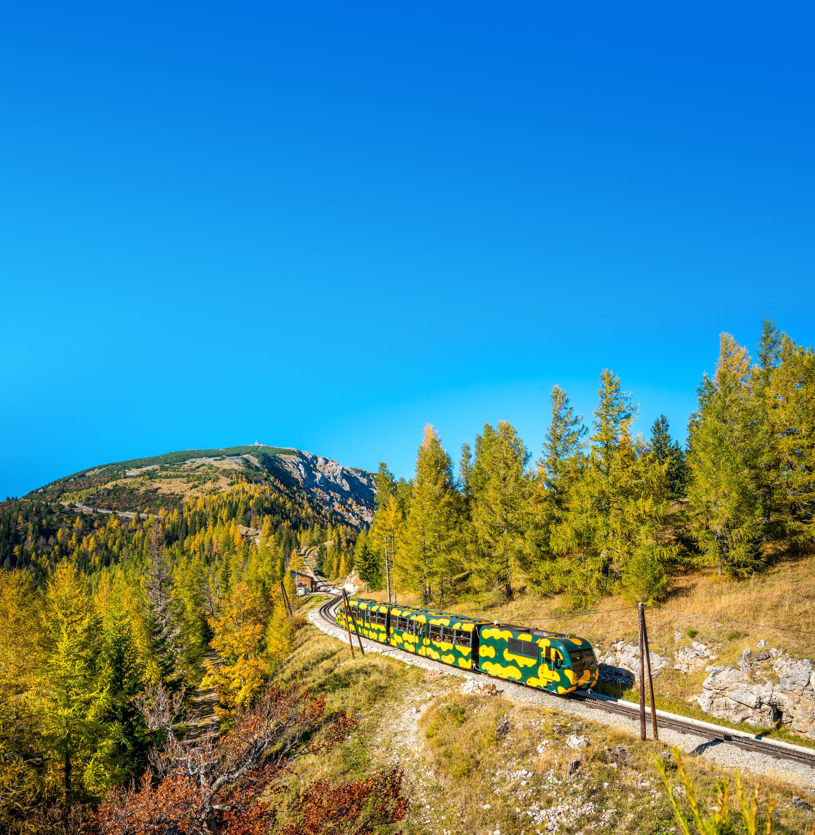 Ein Zug im Salamander-Design fährt durch eine herbstliche Berglandschaft mit blauem Himmel.