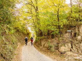 Veltliner-Runde, &copy; POV