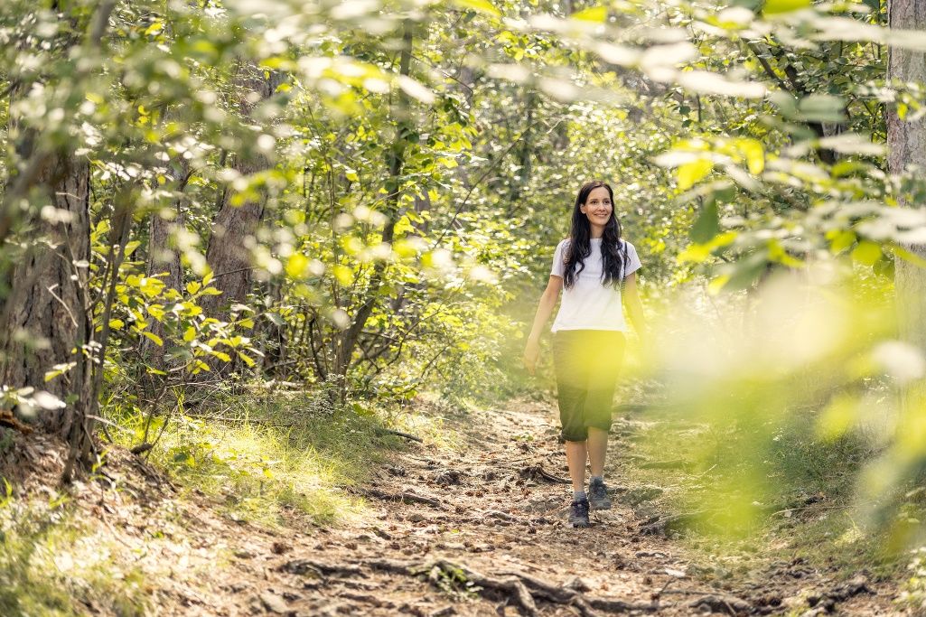 Wandern im Wienerwald