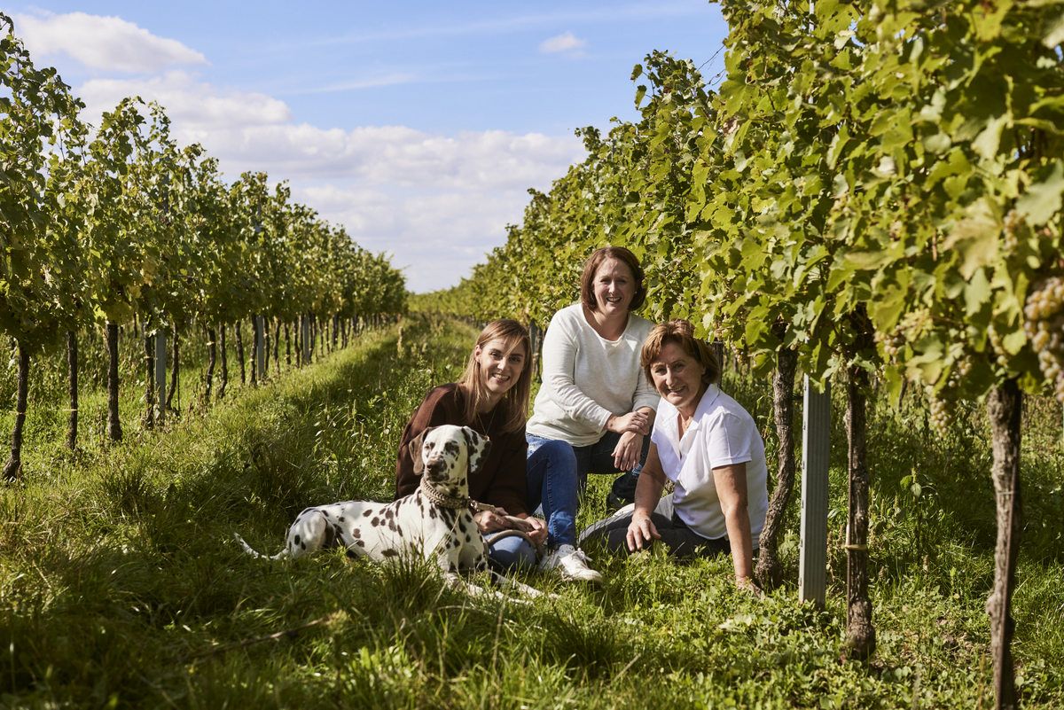 Drei Frauen und ein Dalmatiner in einem Weinberg.