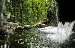Zwei Kinder sitzen entspannt auf einem großen Stein und genießen die erfrischende Atmosphäre des Naturparks. Umgeben von üppigem Grün und dem sanften Rauschen des Wassers, strahlt die Szene pure Lebensfreude und Abenteuerlust aus.