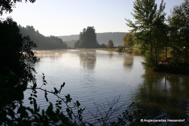 Ein ruhiger See im Morgenlicht mit Bäumen am Ufer und leichtem Nebel über dem Wasser.