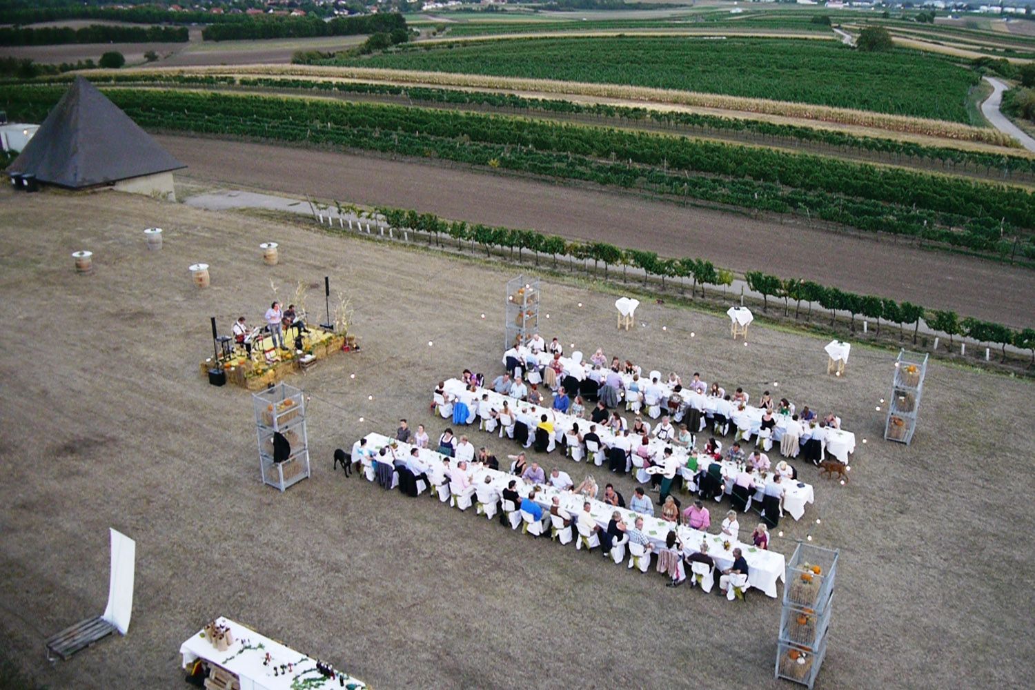 Luftaufnahme eines Festes im Freien mit langen Tafeln und Musikern, umgeben von Weinbergen.