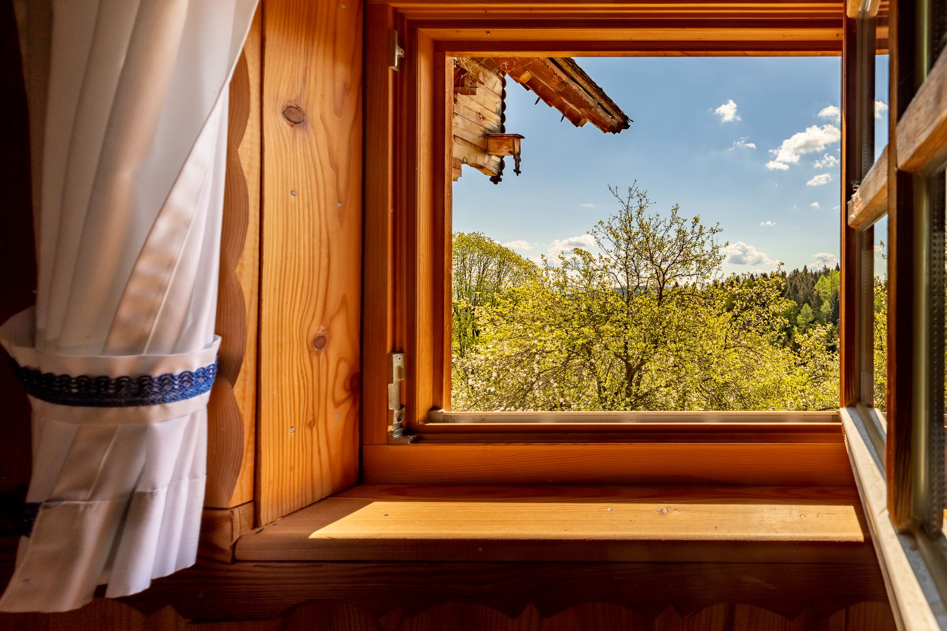 Ausblick aus kleinem Holzfenster mit weißem Vorhang auf Bäume unter blauem Himmel.