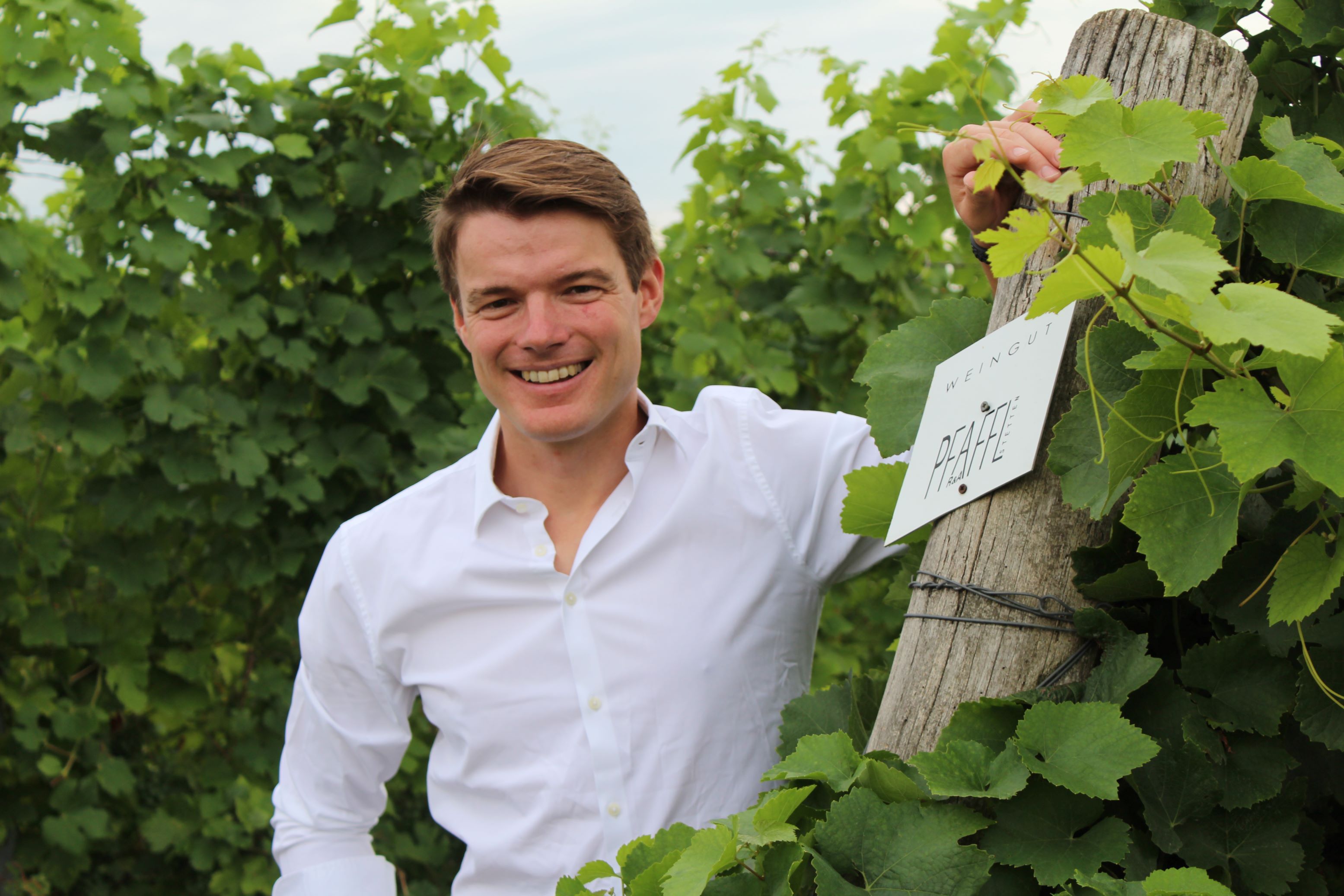 Ein Mann in einem Weinberg neben einem Schild mit der Aufschrift 'Weingut Pfaffl'.