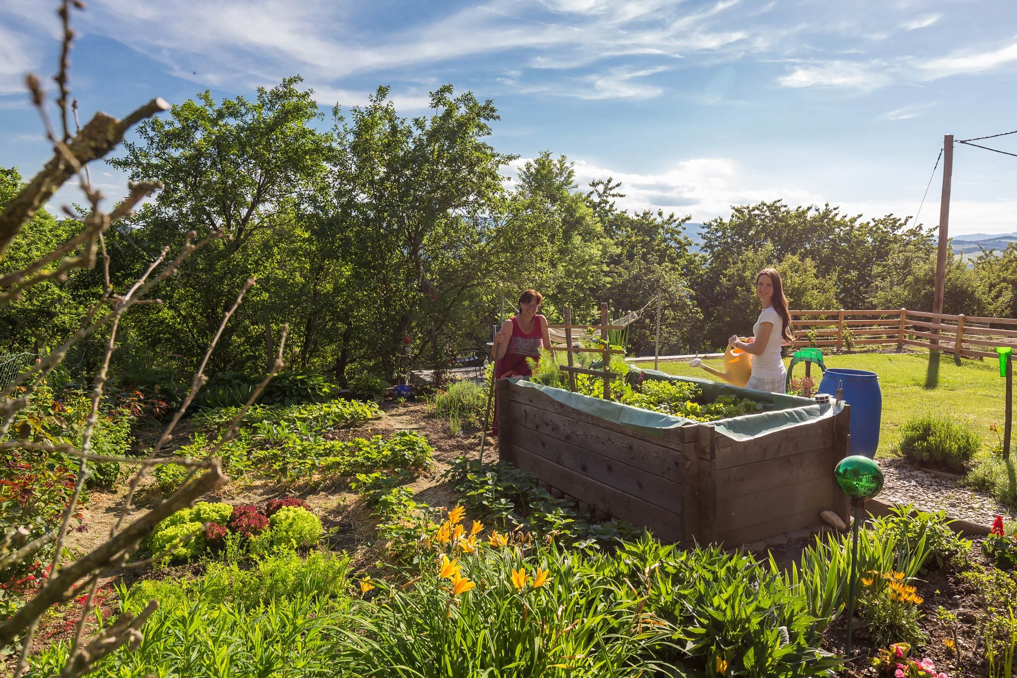 Zwei Personen arbeiten in einem sonnigen Garten mit Hochbeet und Pflanzen.