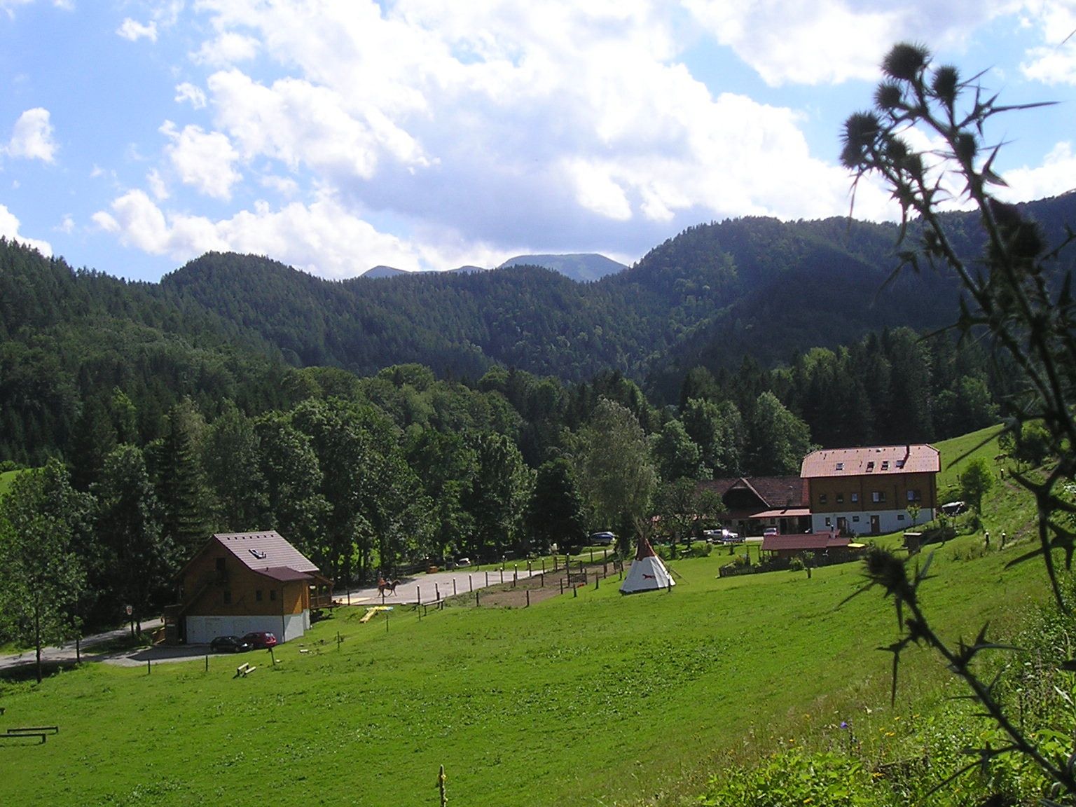 Landschaft mit Bauernhof, Wiesen und Wald im Hintergrund.