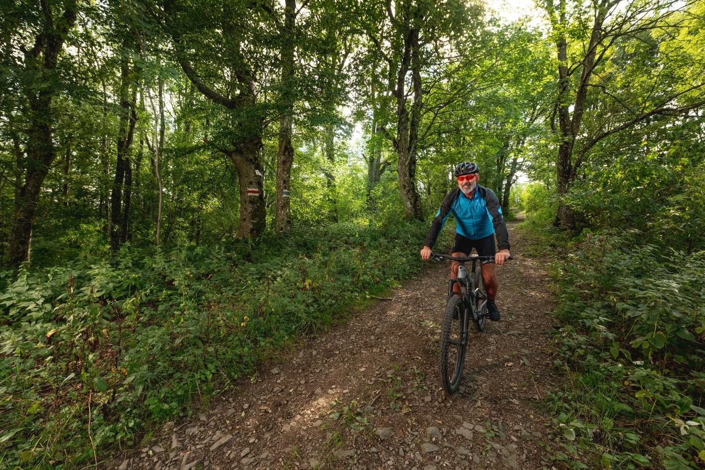 MTB Wienerwald