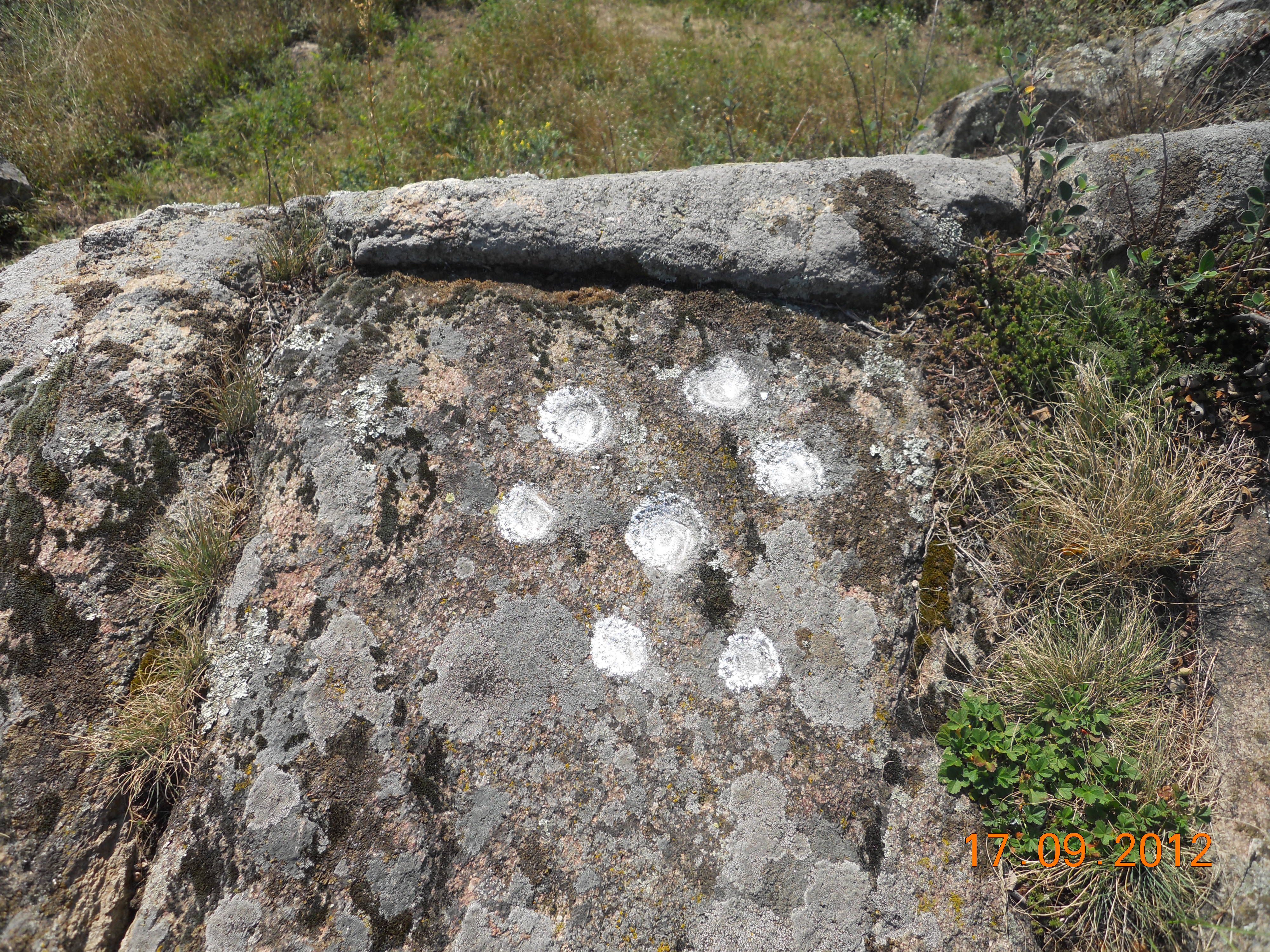 Ein Felsen mit mehreren weißen, kreisförmigen Markierungen in einer natürlichen Umgebung.