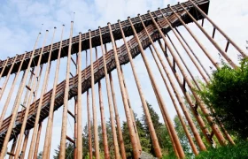 Hochmoor Schrems, © WeinFranz