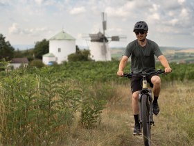 Ein Radfahrer genie&szlig;t die sanften H&uuml;gel des Weinviertels, w&auml;hrend die historische Windm&uuml;hle im Hintergrund majest&auml;tisch thront. Die gr&uuml;ne Landschaft und der strahlend blaue Himmel schaffen eine perfekte Kulisse f&uuml;r unvergessliche Erlebnisse in der Natur.