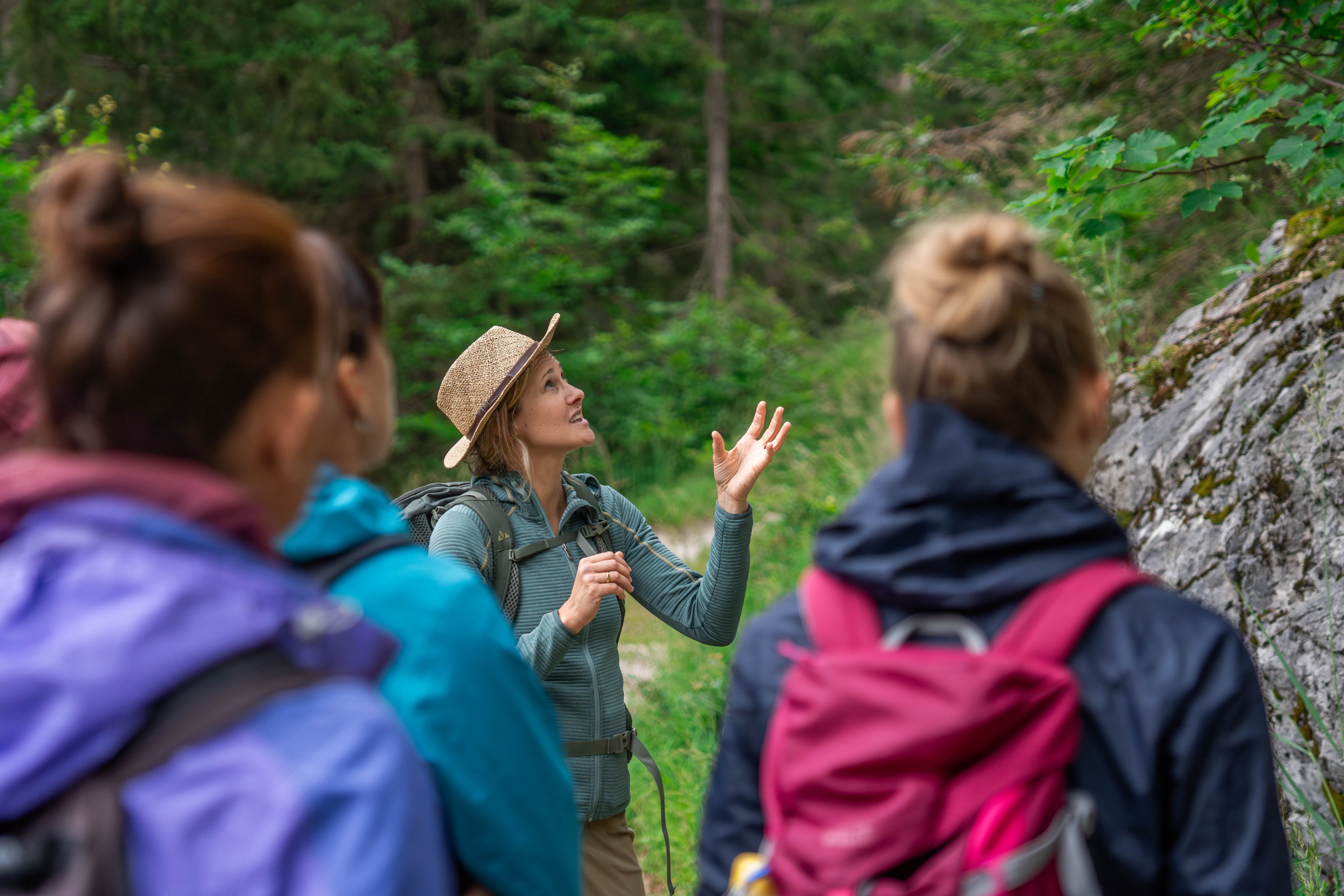 Gruppenführung durch das UNESCO Weltnaturerbe Dürrenstein