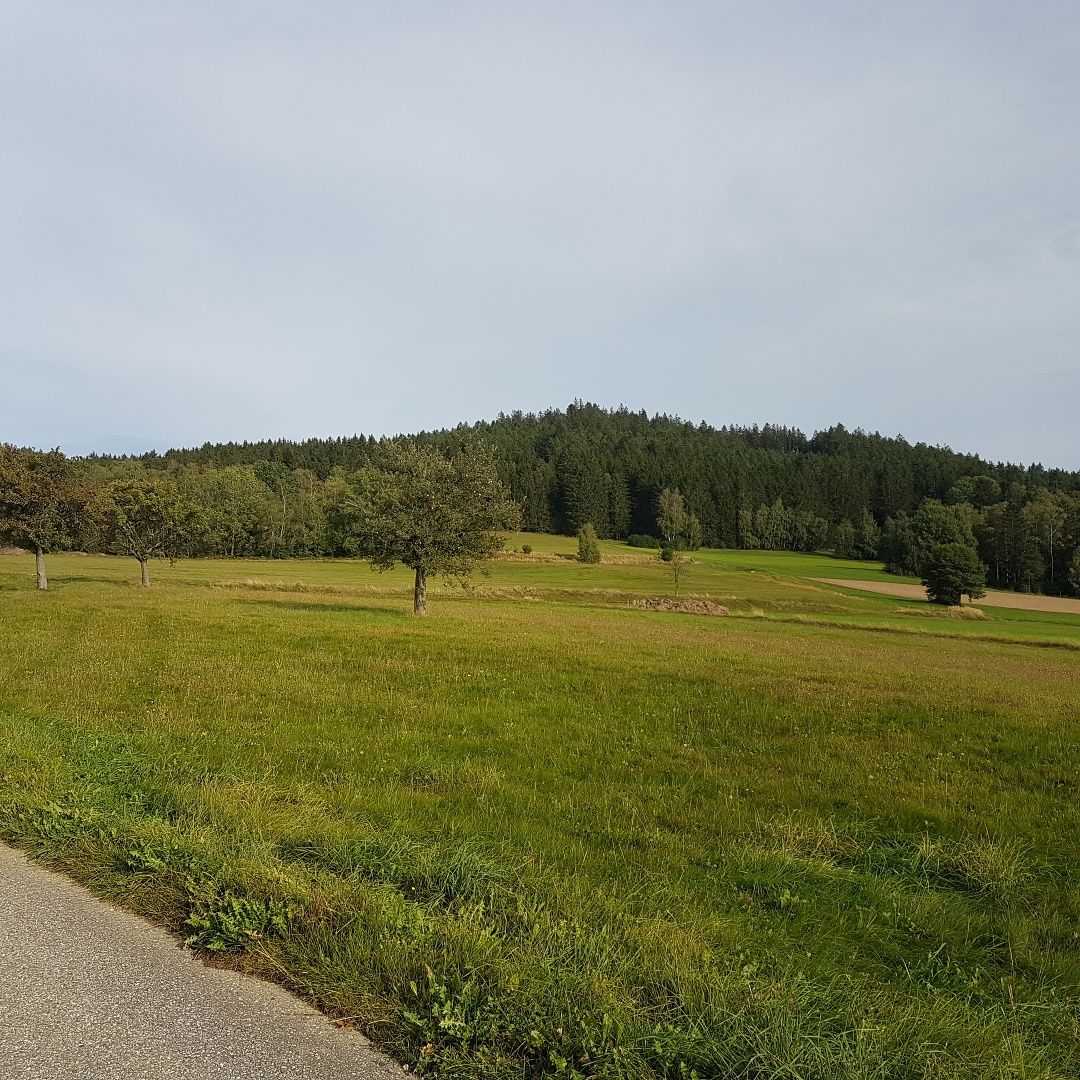Dorfweg