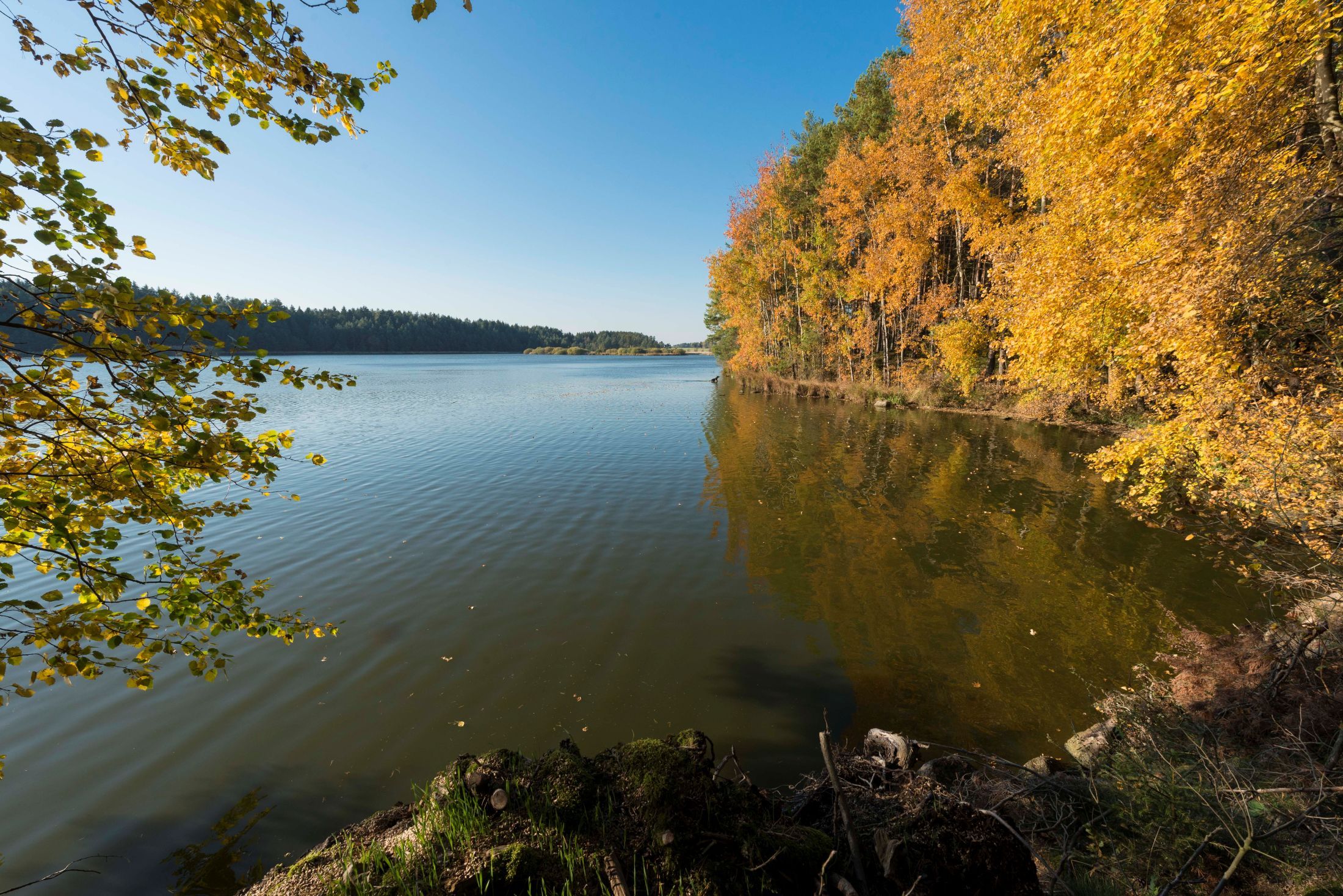 Herbstliche Landschaft mit See und buntem Laub im Waldviertel.
