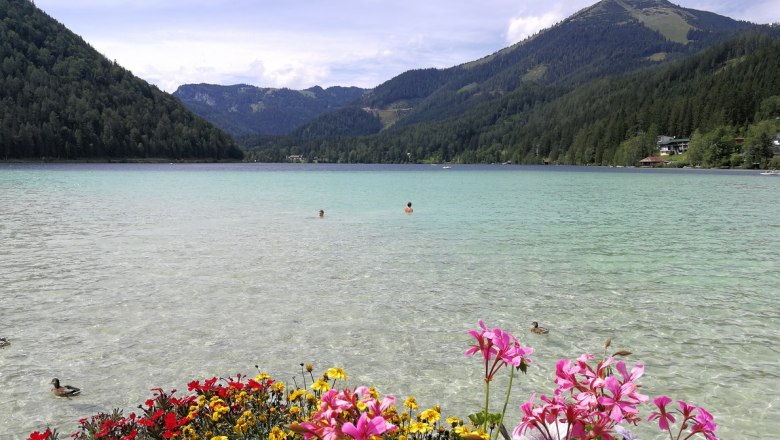 Blick auf den Erlaufsee mit Blumen im Vordergrund, Bergen im Hintergrund und Enten im Wasser.