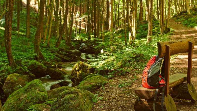 Erfrischende K&uuml;hle in der Steinbachklamm, &copy; Klaus Engelmayer