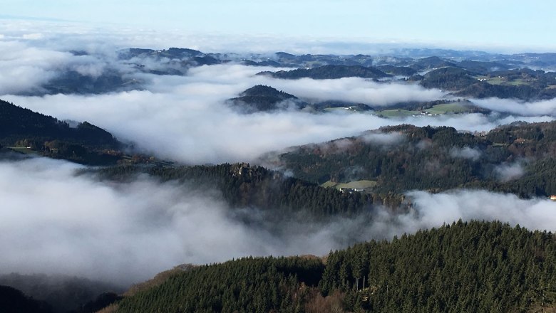 Blick von der Burgsteinmauer auf nebelverhangene H&uuml;gel und W&auml;lder.