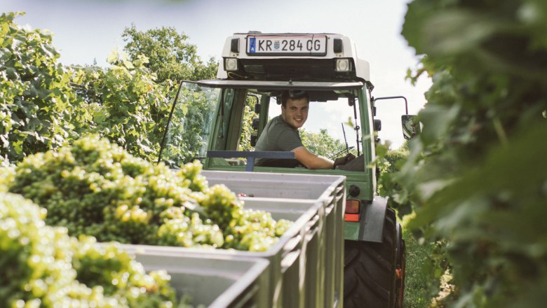 Mit dem Traktor im Weingarten