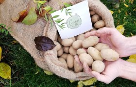 Gr&uuml;ner Biohof, &copy; Gr&uuml;ner Biohof