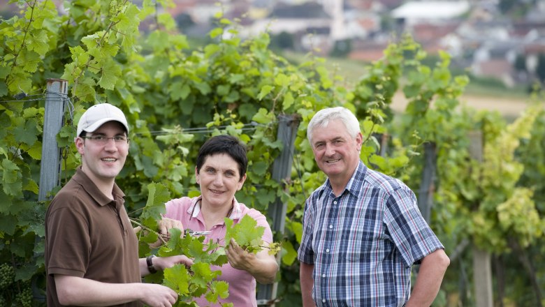 Drei Personen stehen in einem Weinberg mit gr&uuml;nen Reben im Vordergrund und einer unscharfen Stadt im Hintergrund.