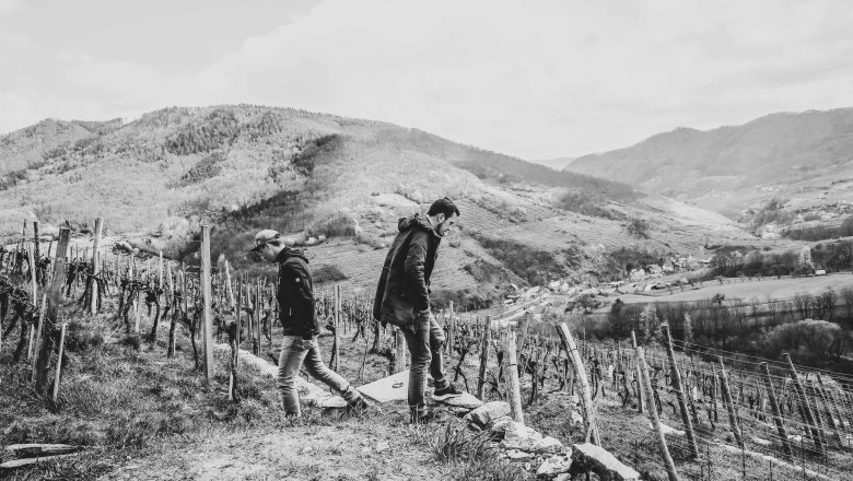 Grabenwerkstatt, Spitzer Graben, &copy; Pamela Schmatz